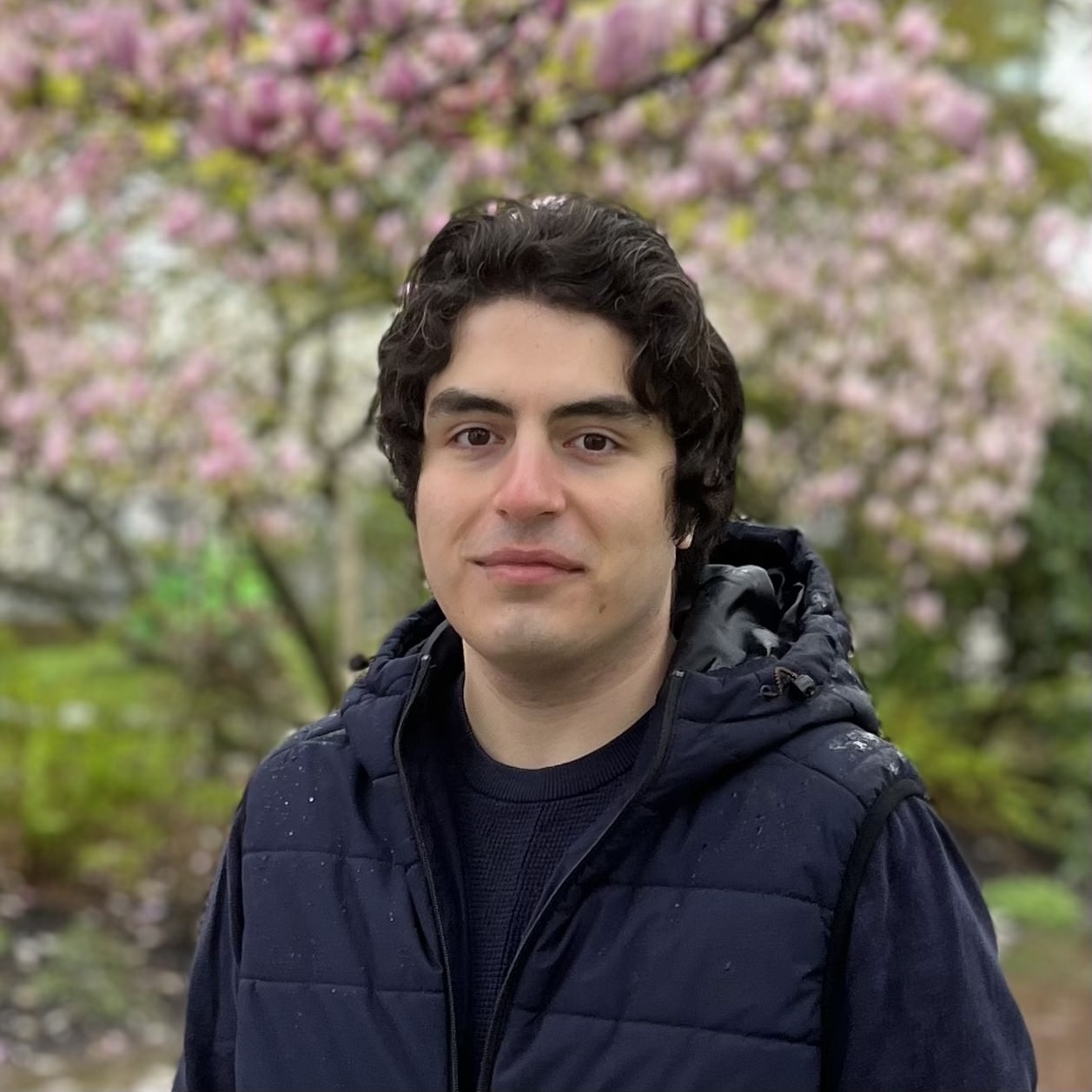 Ali Behrouz